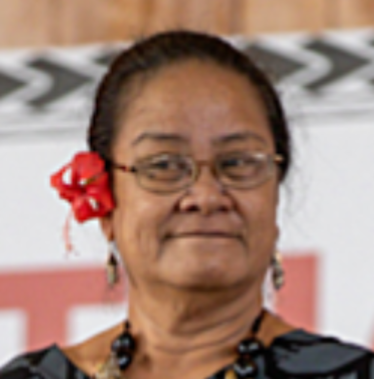 Hon Matamua Vasati Pulufana